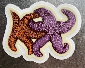 SeaStar / Starfish/ Tidepool Loving Waterproof Sticker / Decal