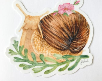 Watercolor Snail in the Garden 3" matte waterproof Sticker