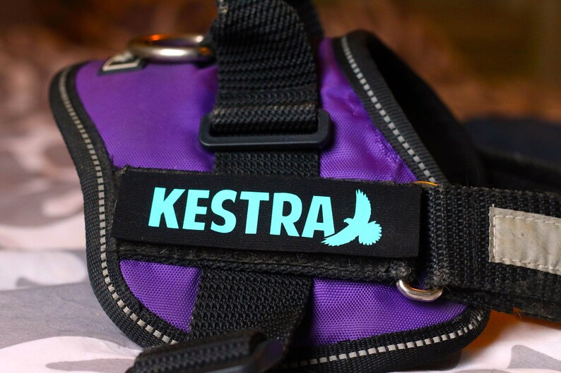 Personalzed Custom Dog Harness Patches Wth Gltter Or | Etsy