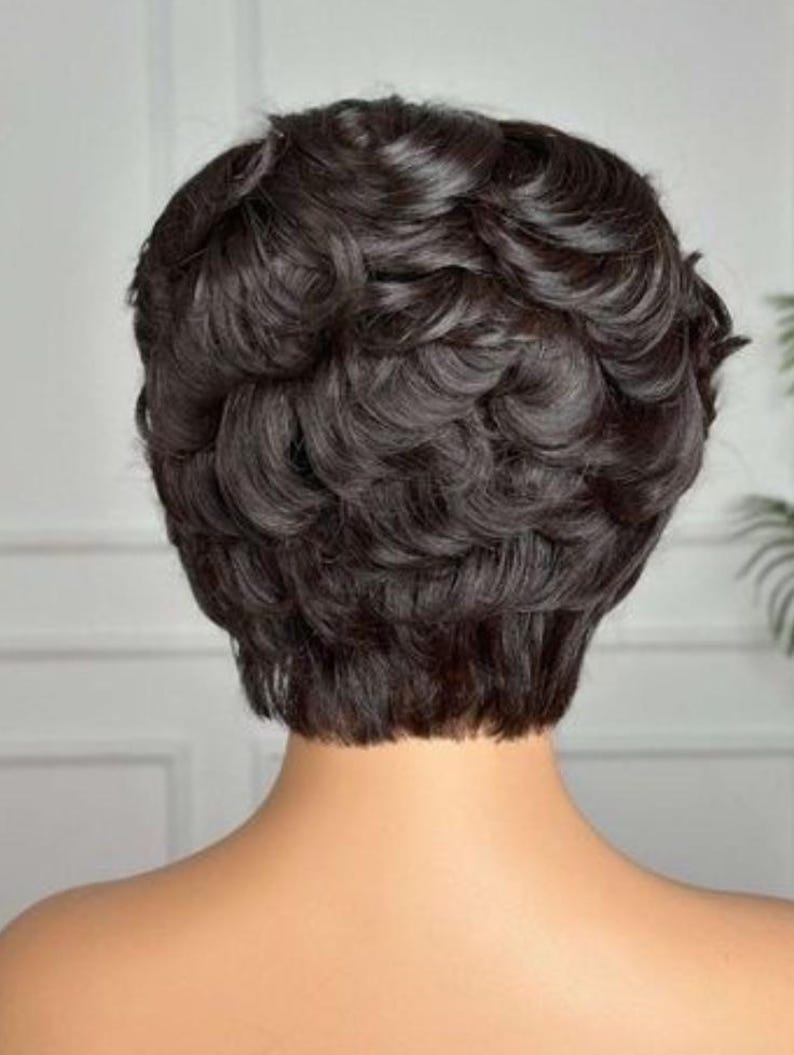 May include: A dark brown, short, curly wig styled in a classic pixie cut. The back view shows the neatly trimmed nape and the voluminous curls that frame the head. The wig appears to be made of synthetic fibers.