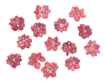 Flower Of Sulfur Etsy