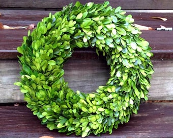 Boxwood wreath/14” preserved boxwood wreath/Preserved boxwood/Wreath/Dried floral /Boxwood ring/Preserve wreath/Wreaths/Christmas wreaths