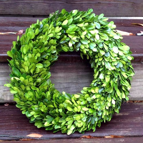 16 Preserved Boxwood Wreath Etsy
