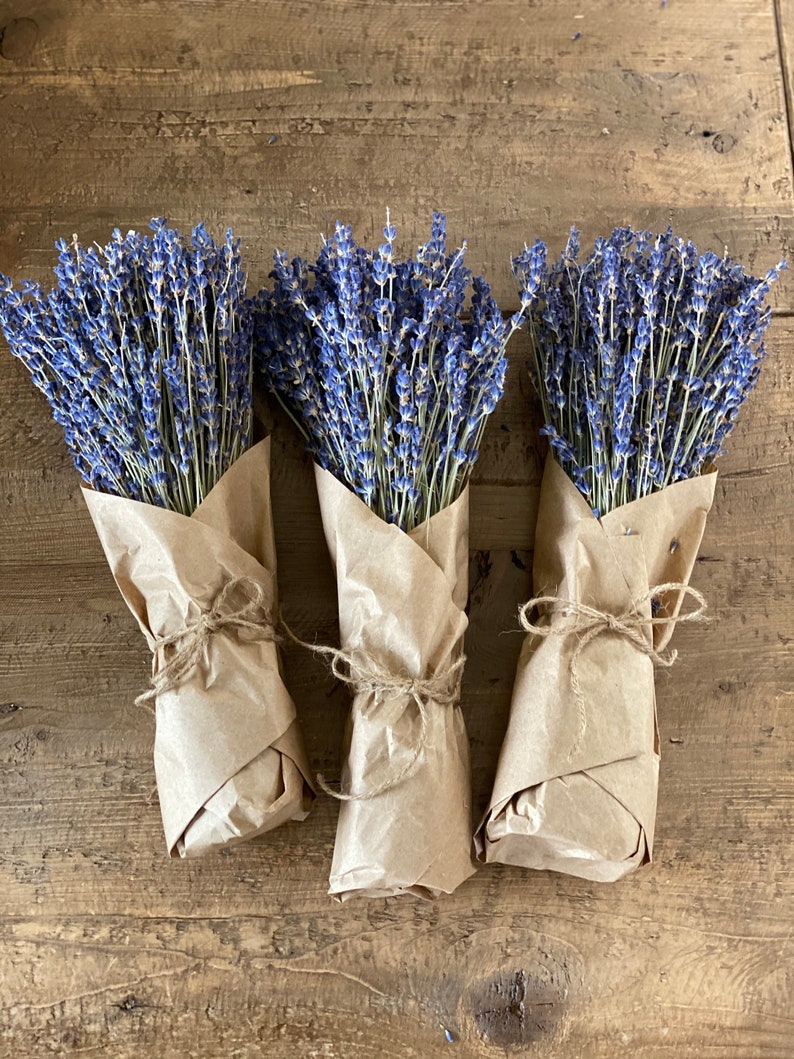 Lavender /Dried Lavender bundle / wholesale lavender / wrapped Etsy