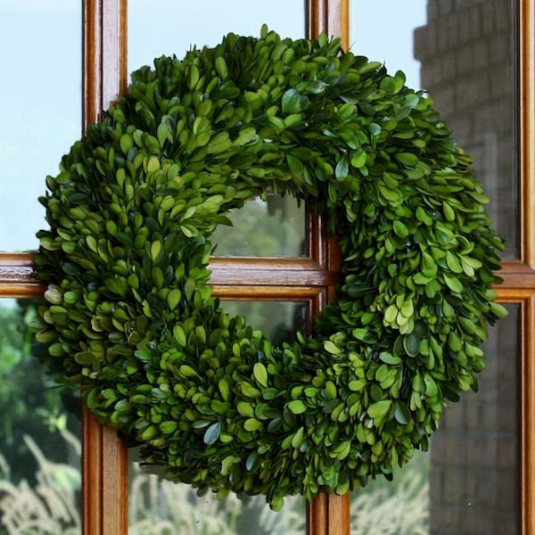 Boxwood wreath/16”Preserved boxwood wreath/Christmas wreath/Preserved boxwood/Decorative wreath/Wreaths/Door Wreath/Preserved florals/Wreath