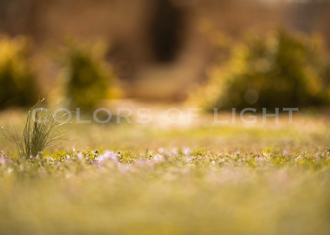 10 Backgrounds for Green Screen Digital Download Etsy