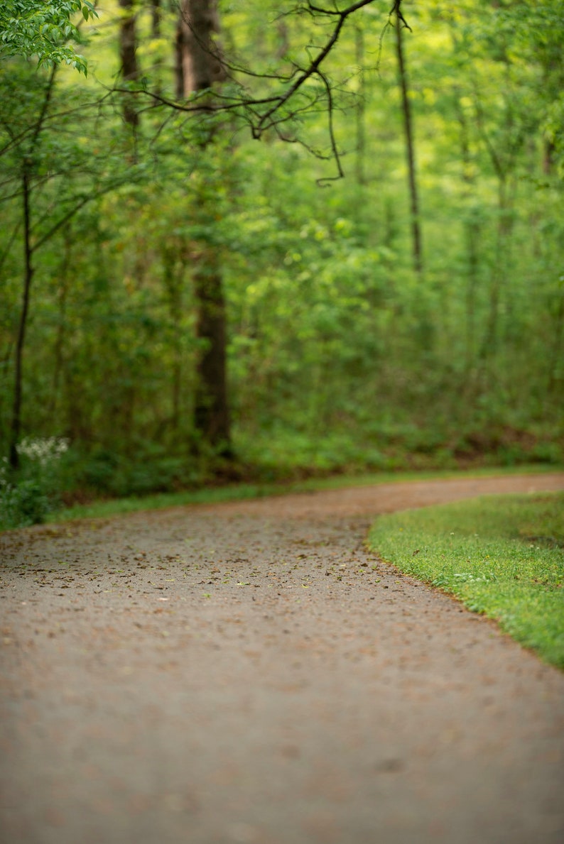 7 Digital Backgrounds/backdrops Etsy