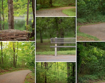 7 Digital Backgrounds/Backdrops