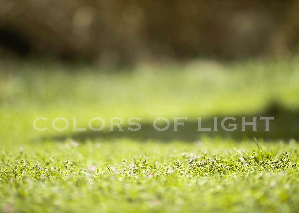 10 Backgrounds for Green Screen Digital Download Etsy