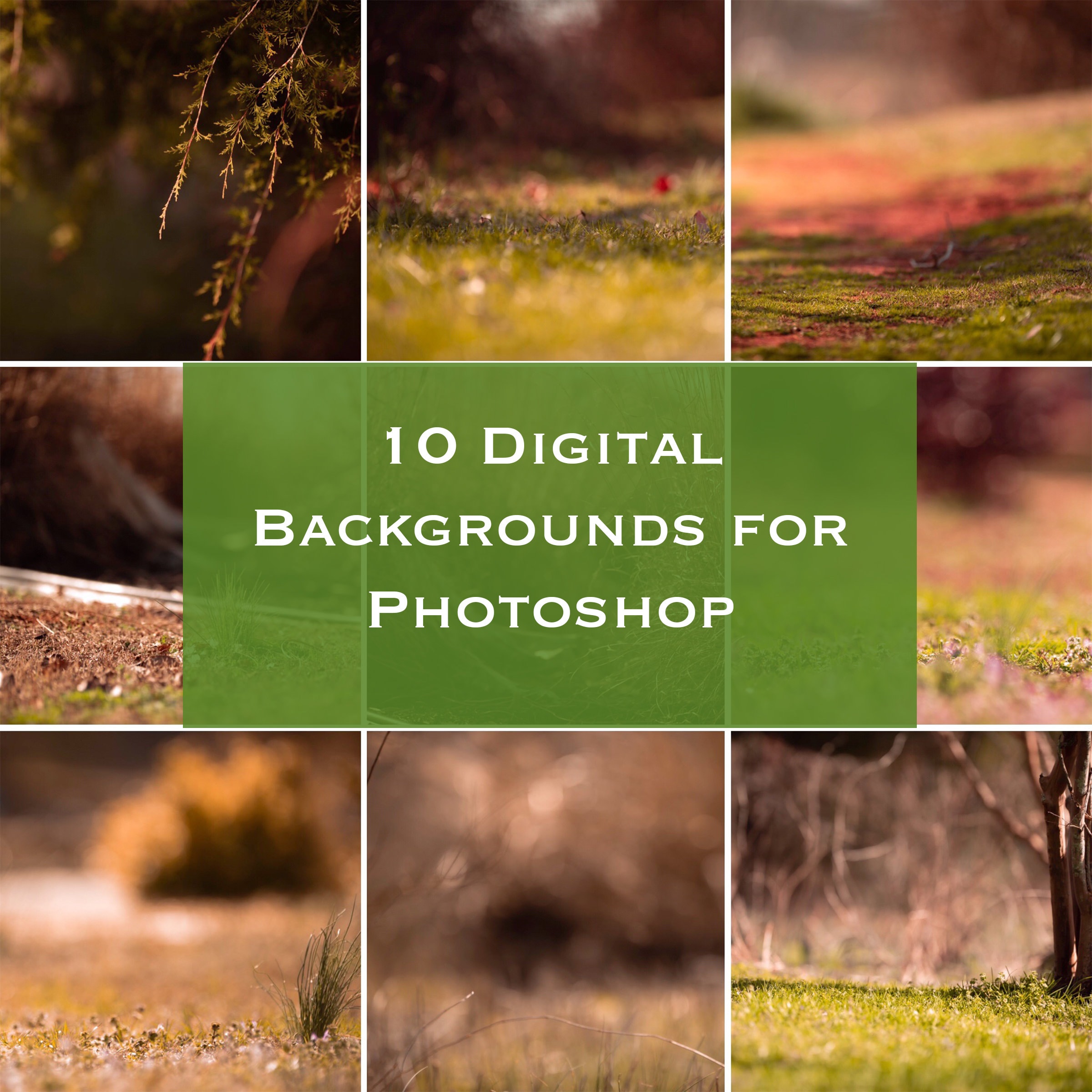 10 Backgrounds for Green Screen Digital Download Etsy