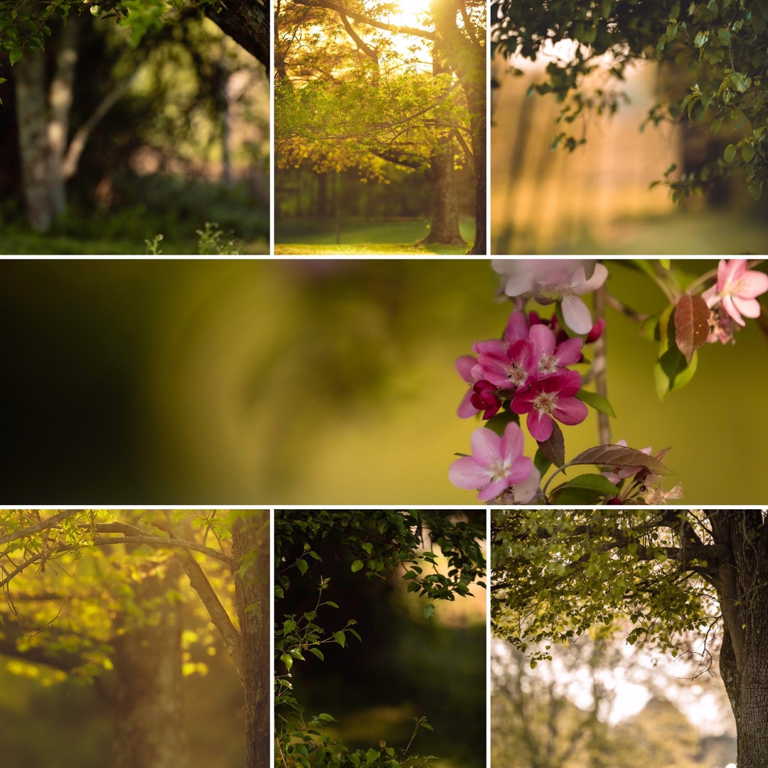 6 Spring Digital Backdrops/backgrounds - Etsy