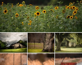 7 Digital Backgrounds, sunflowers, barn, red wagon