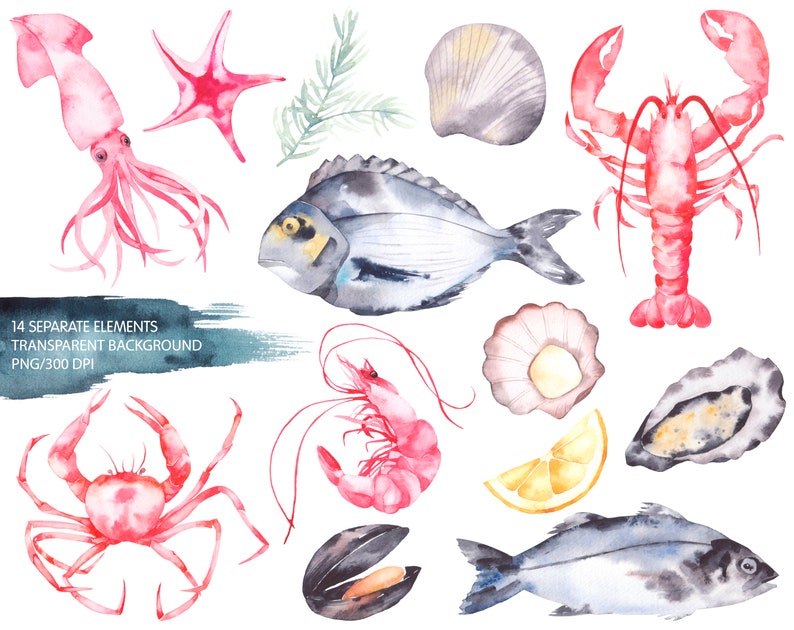 Aquacolore Crevettes de fruits de mer Omar Lobster Crab Oyster Etsy