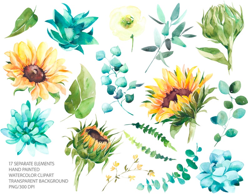 Download Watercolor Sunflowers Succulents Summer Yellow Blue ...