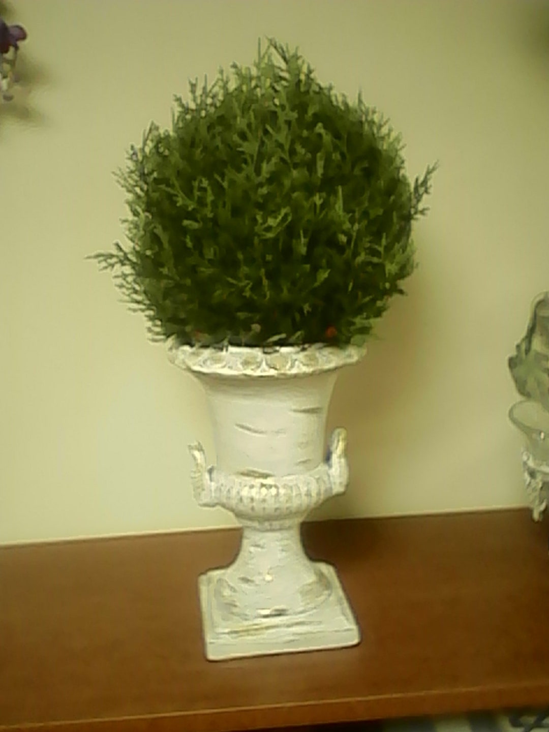 Faux Evergreen Topiary in Distress Whitewashed Urn With Etsy