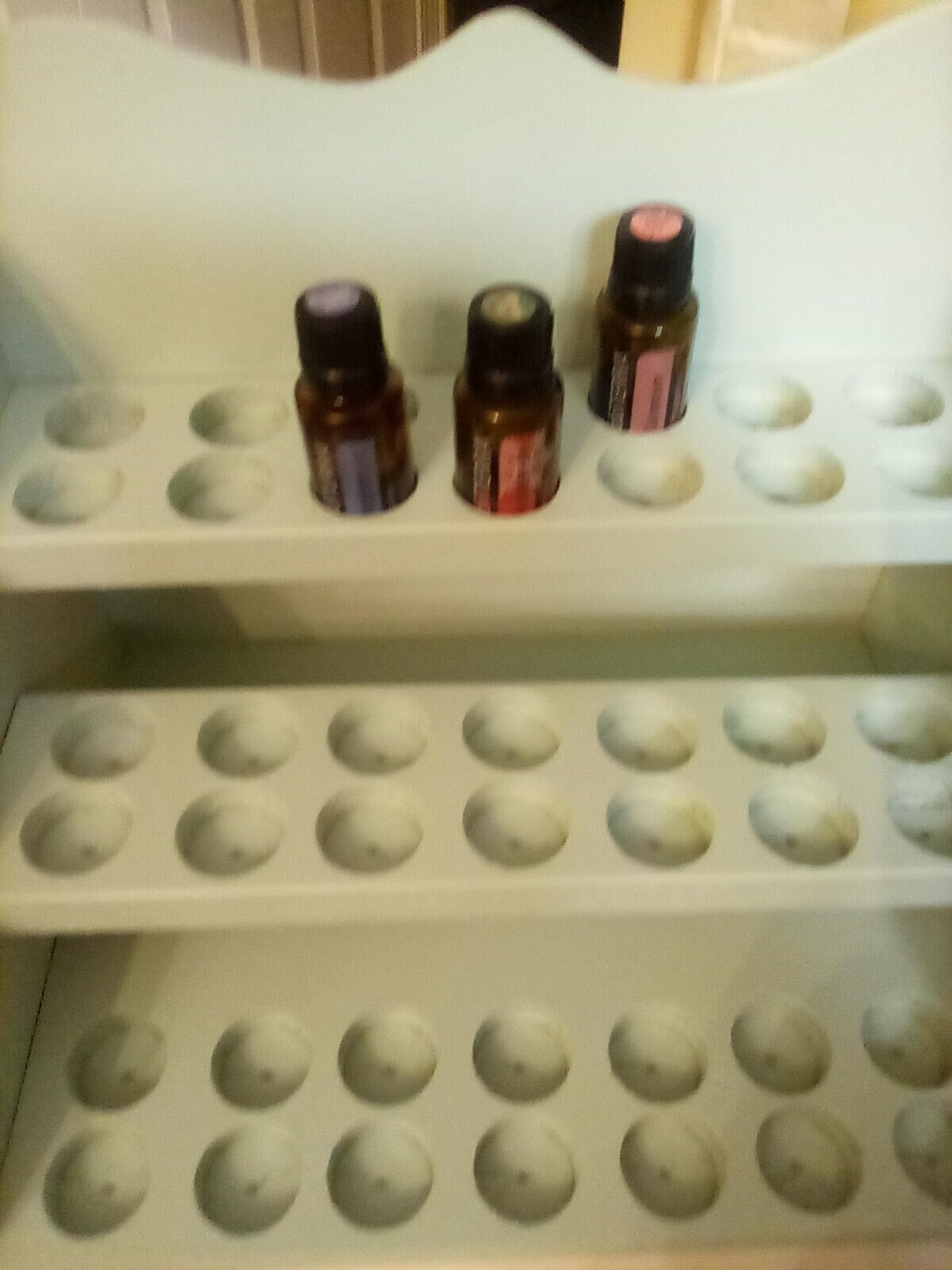 Essential Oil Bottle Storage Rack Holds 42 Doterra Type Etsy