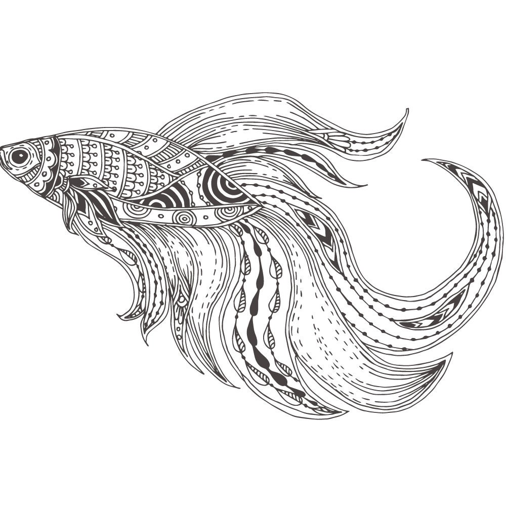 24 X 24 Large Coloring Poster Betta I Etsy
