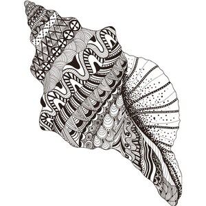 May include: A black and white detailed illustration of a seashell with intricate patterns and designs.