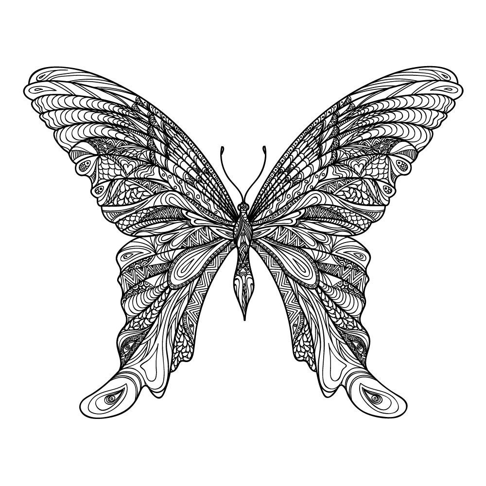 32" x 24" Giant Coloring Poster Butterfly 32" x 24" Giant Coloring Poster Butterfly