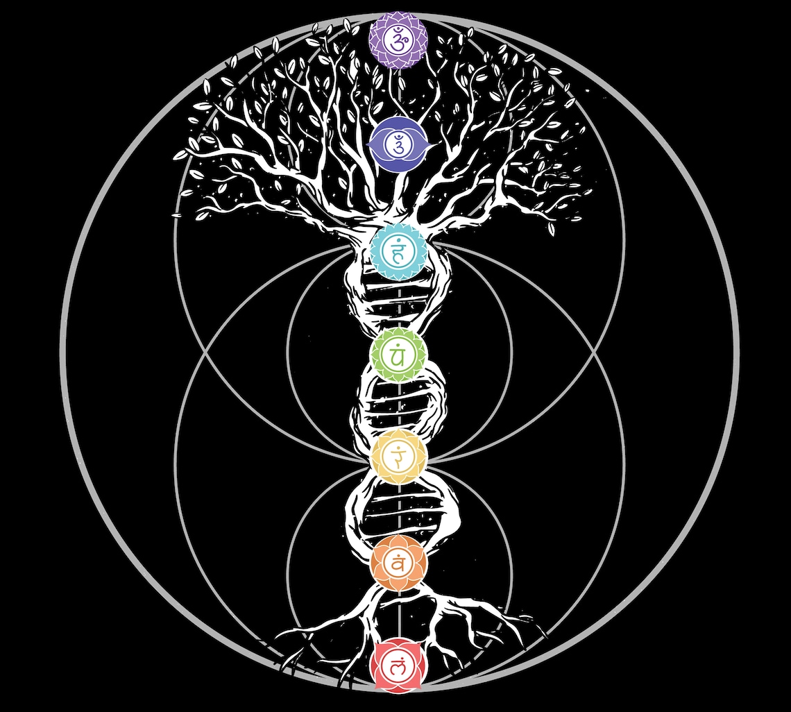 Chakra DNA Tree of Life Sacred Geometry Yoga Tshirt Namaste Etsy Canada