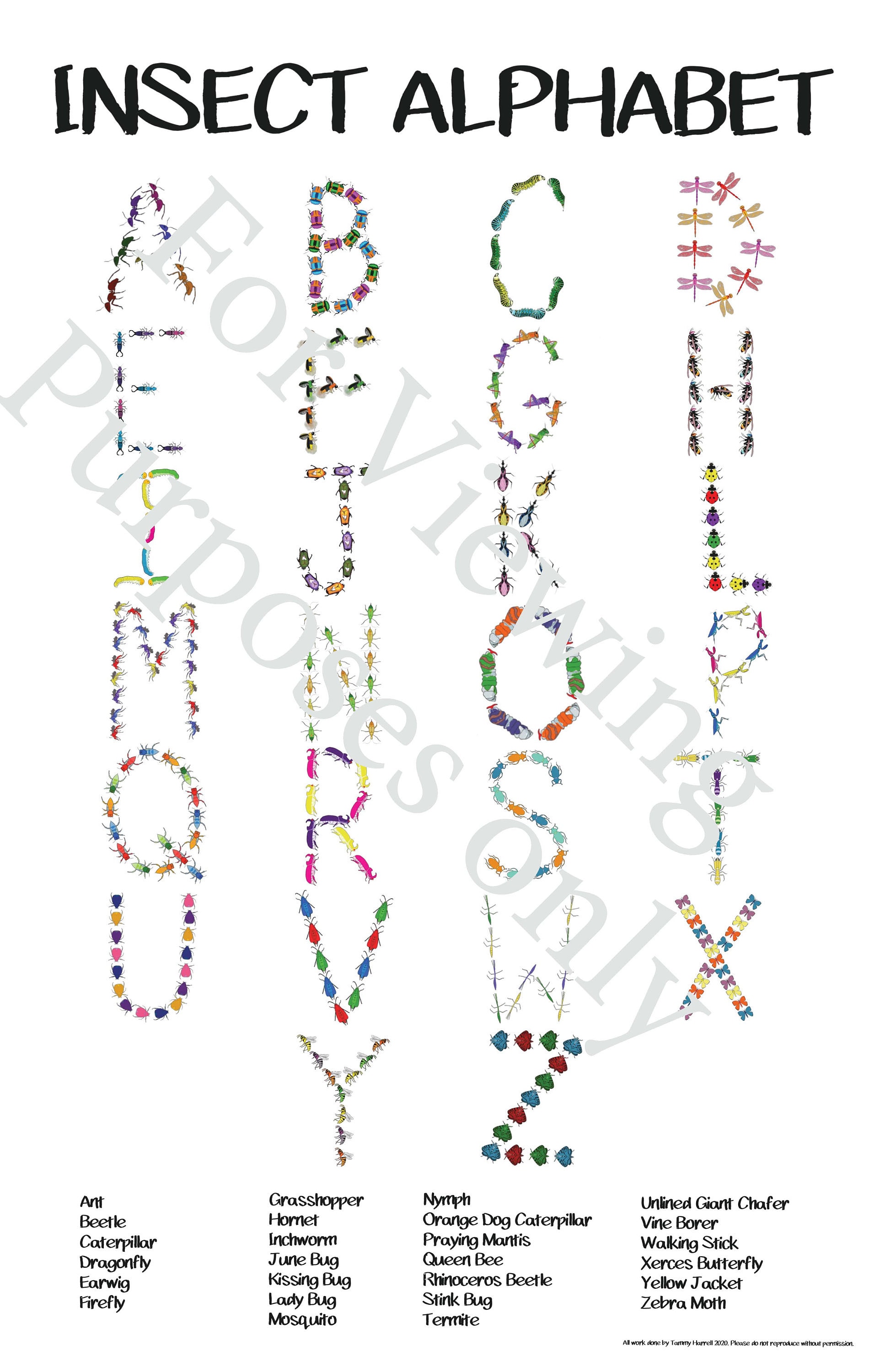 Insect Alphabet Wall Art - Etsy