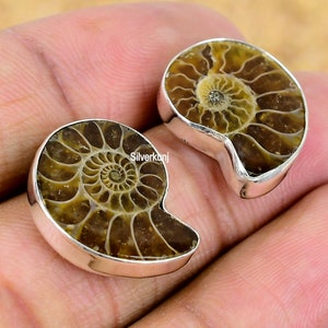 Ammonite Fossil Stud Earring, Ammonite Sterling Silver Earring, Dainty Earring, Ammonite Jewelry, Handmade Stud Earring, Gift For Her