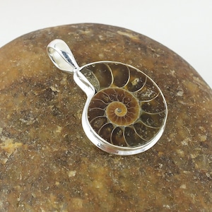 Ammonite Fossil Pendant: Sterling Silver Necklace, Madagascar Gemstone