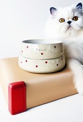Custom Made Pet Bowl, Pet Bowl, Pet plate, Pet gift, Cat bowl, Dog bowl, Dog feeding, Personalized hearts bowl, Cat gift, original gift, product logo