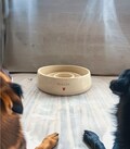 Slow feeder, Pet Bowl, Pet Bowl, Pet gift, Cat bowl, Dog bowl, Dog feeding, Personalized hearts bowl, Cat gift, original gift, product logo