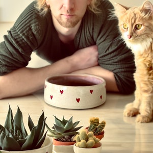 Hand Made Pet Bowl, Pet Bowl, Pet plate, Pet gift, Cat bowl, Dog bowl, Dog feeding, Personalised hearts bowl, Cat gift, original gift, image 1