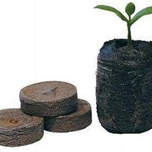 Jiffy 7 Peat Pellets - Seed Starter Soil Plugs - 36 mm - Start Seedlings Indoors - Easy To Transplant To Garden