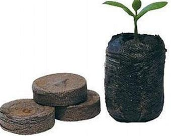 Jiffy 7 Peat Pellets - Seed Starter Soil Plugs - 36 mm - Start Seedlings Indoors - Easy To Transplant To Garden