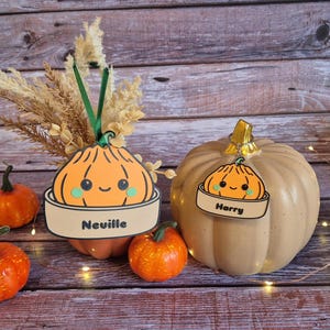 May include: Two flat, orange pumpkin-shaped ornaments with green ribbons, one labelled Neville and one labelled Harry. The ornaments feature a cute cartoon face with black eyes and green cheeks. A large, beige, smooth pumpkin sits beside them.