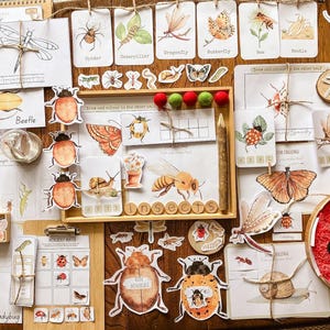 Insect Morning Basket PDF
