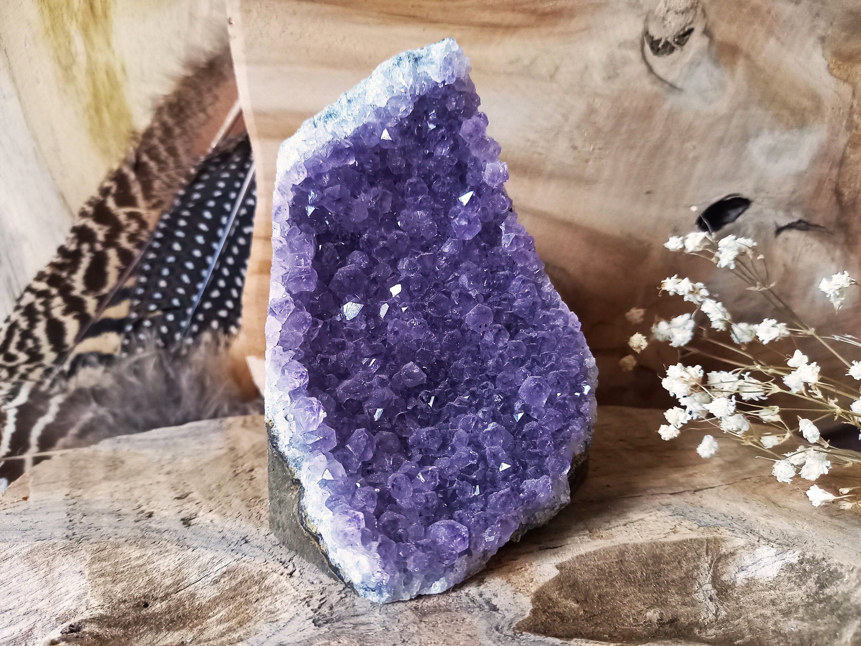 Géode d'amethyste | Tryphosa