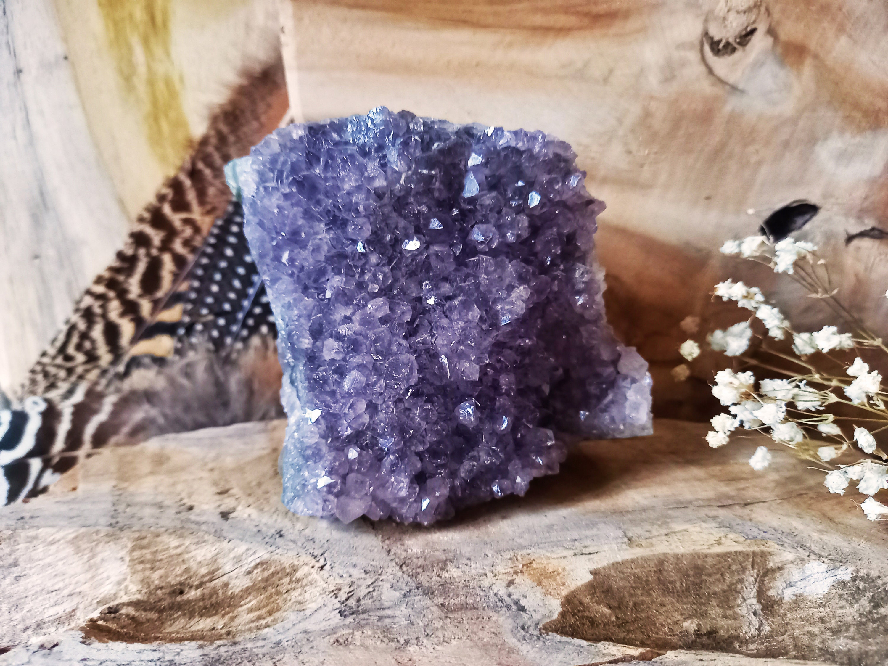 Géode d'amethyste | Iulia