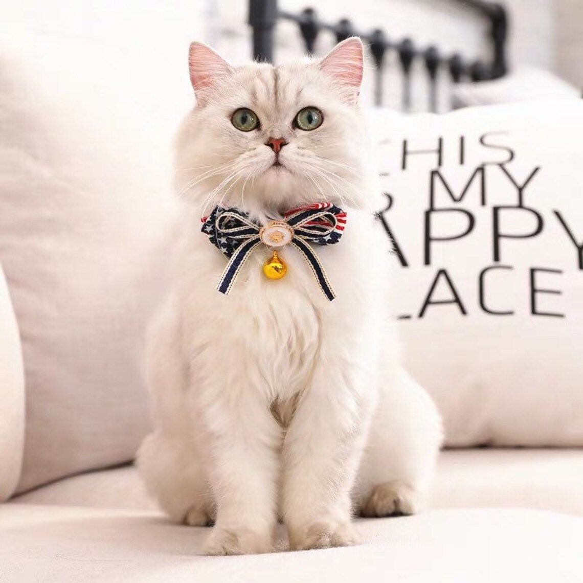 Adorable cat collar kitten collar with bell small size dog Etsy