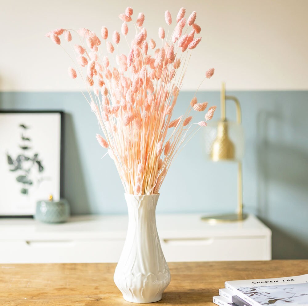 Fleurs Séchées Botte de Phalaris Rose 150G