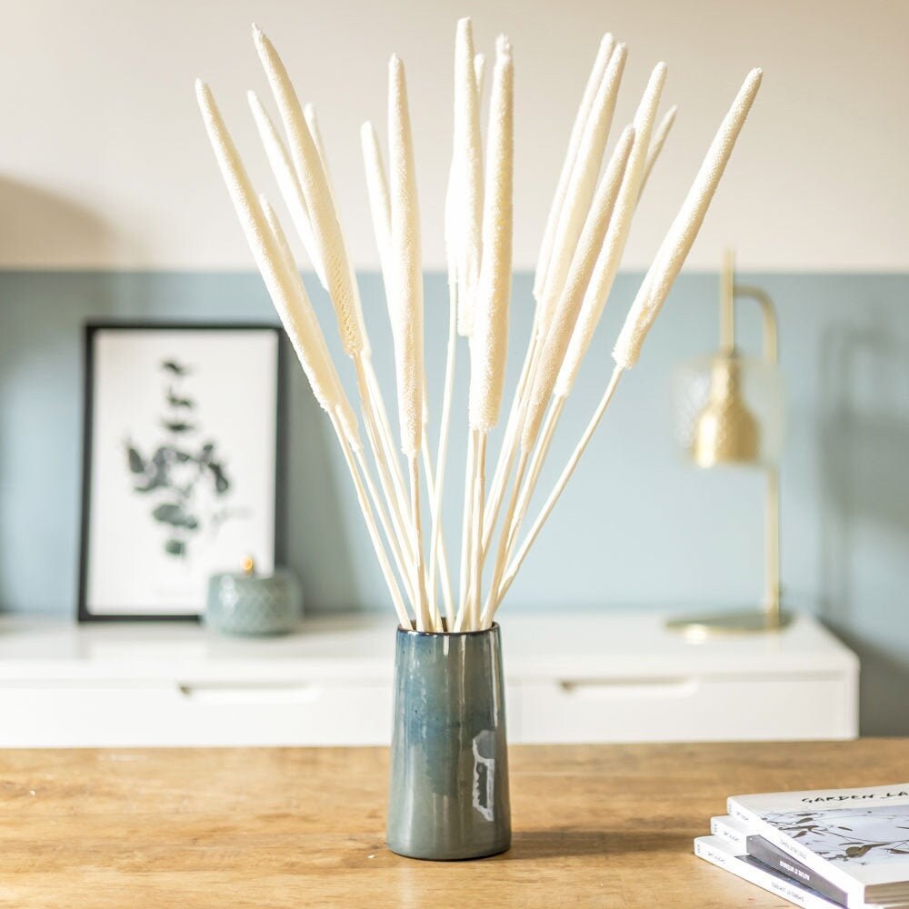 Fleurs Séchées Botte de Babala Blanc X 15 Tiges