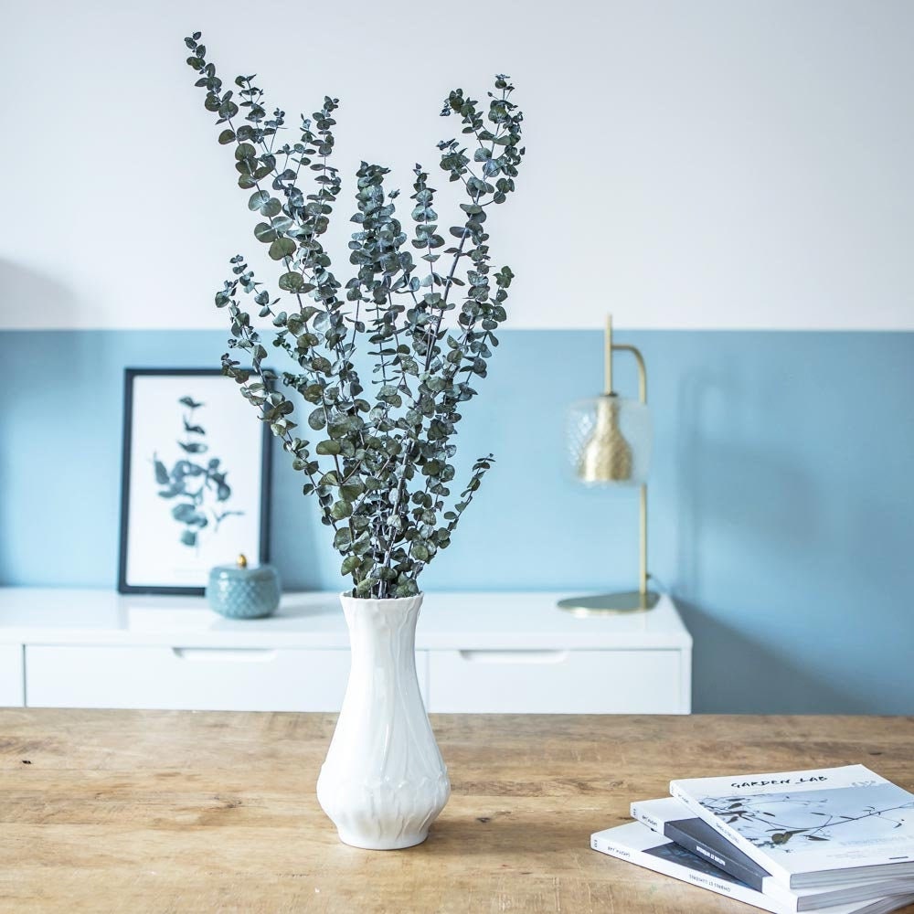Fleurs Séchées Botte d'eucalyptus Baby Stabilisé