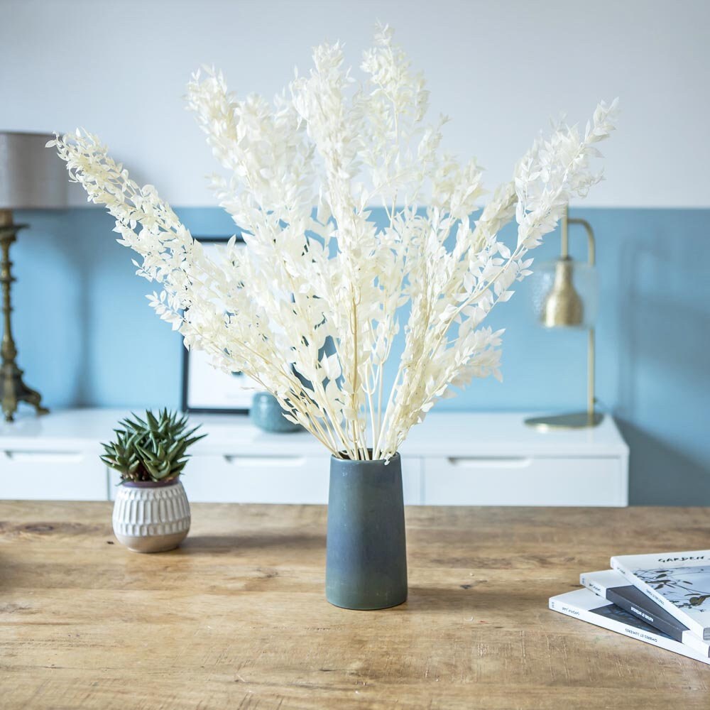 Fleurs Séchées Ruscus Blanc