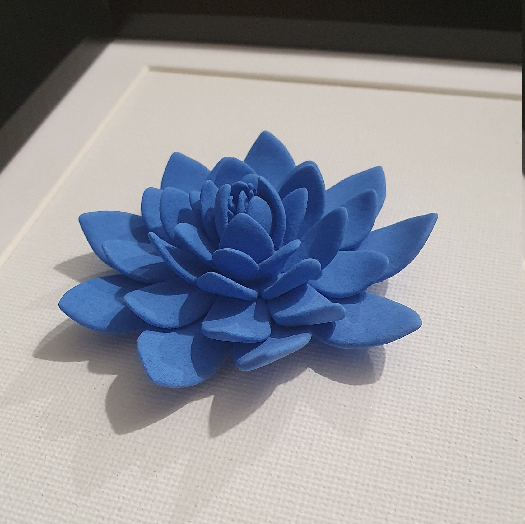 Lotus Bleu