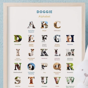 Animal Alphabet Print, Alphabet poster, Animal alphabet art, Dog lover gift, dog lover art, Pictures of dogs, popular dog breeds, Ages 2-7