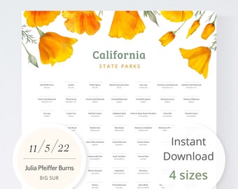 California Poppy Art (8x12" to 20x30") / CA state parks print, California art print, California, digital download