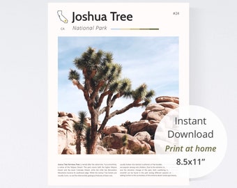 California nature print / Joshua Tree National Park, playroom nature decor, nature themed nursery decor, California nature print