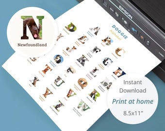 Poster hondenalfabet, decor dierenkamer (digitale download)