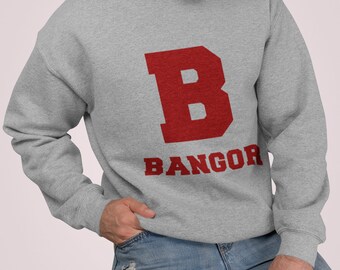 Bangor university hoodie sale