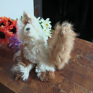 2 alpacas made from alpaca fur from an alpaca farm in NM