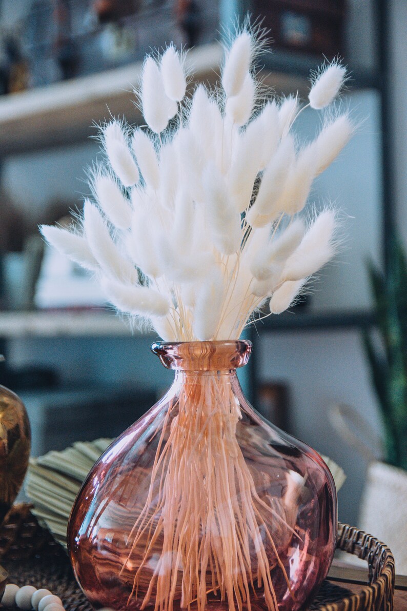 White Dried Bunny Tails 50 pc Bundle/Dried Lagurus/Boho Etsy