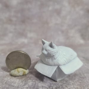 May include: A small, white figurine of a cat resting on a box, next to a quarter coin. The cat has detailed fur and is in a relaxed pose. The coin is propped up on a small, light-colored stone.